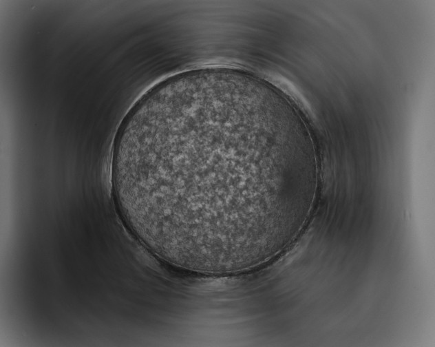 X0000093131228200710101053