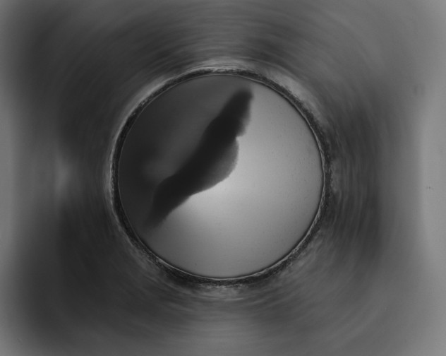 X0000093131229200710101053