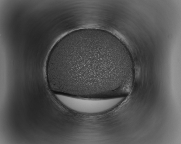 X0000093131230200710101053