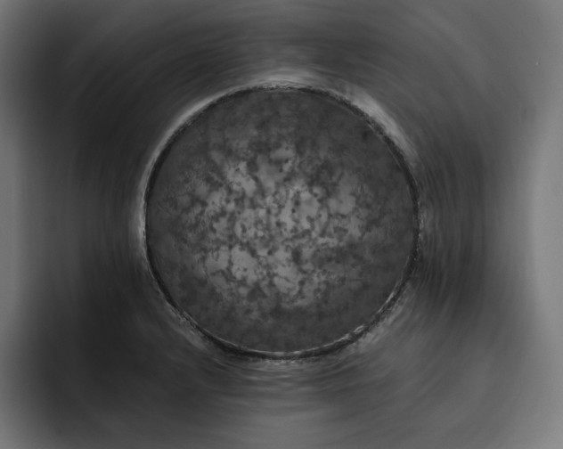 X0000093131232200710101053