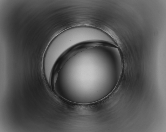 X0000093131234200710101053