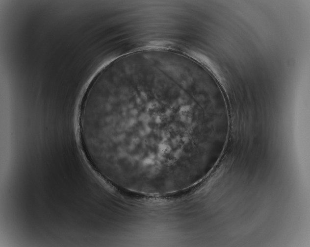 X0000093131235200710101053