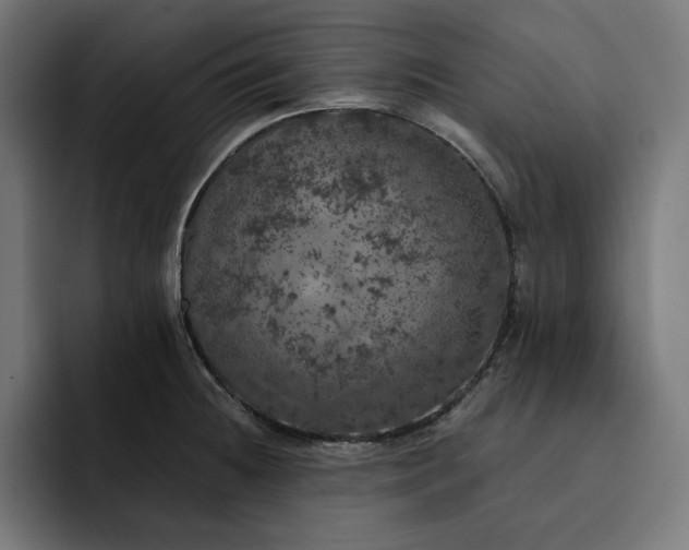 X0000093131236200710101053