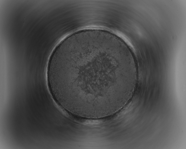 X0000093131237200710101053