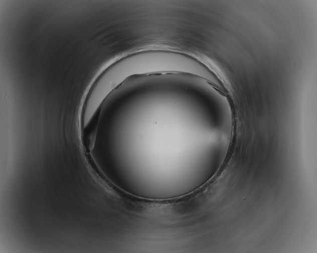 X0000093131238200710101053