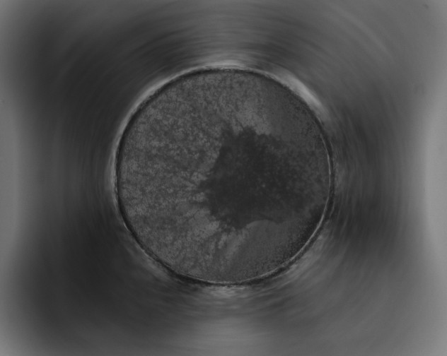 X0000093131240200710101053