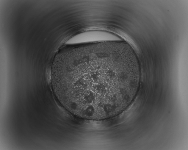 X0000093131241200710101053