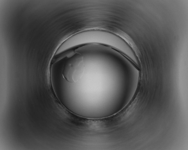 X0000093131242200710101053