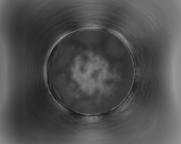 X0000093131243200710101053