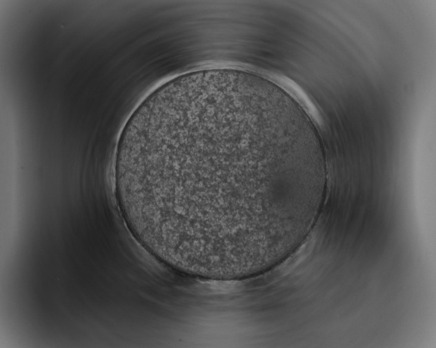 X0000093131244200710101053