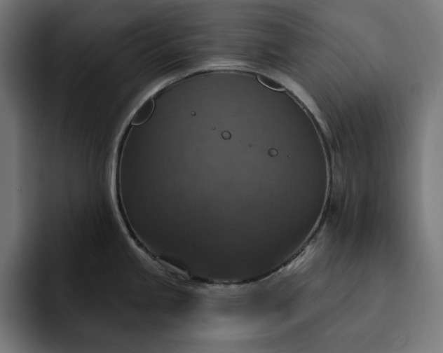 X0000093131245200710101053