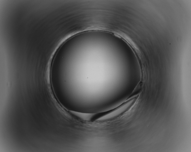 X0000093131246200710101053