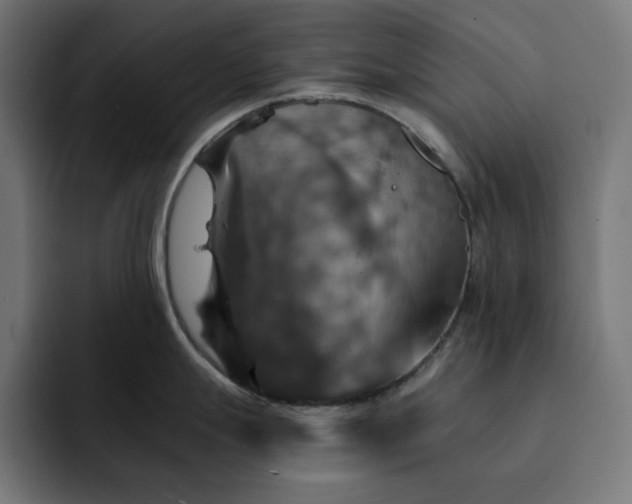 X0000093131247200710101053