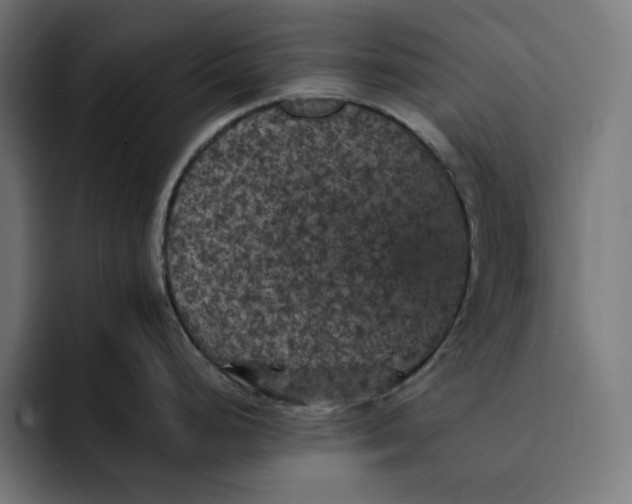 X0000093131248200710101053