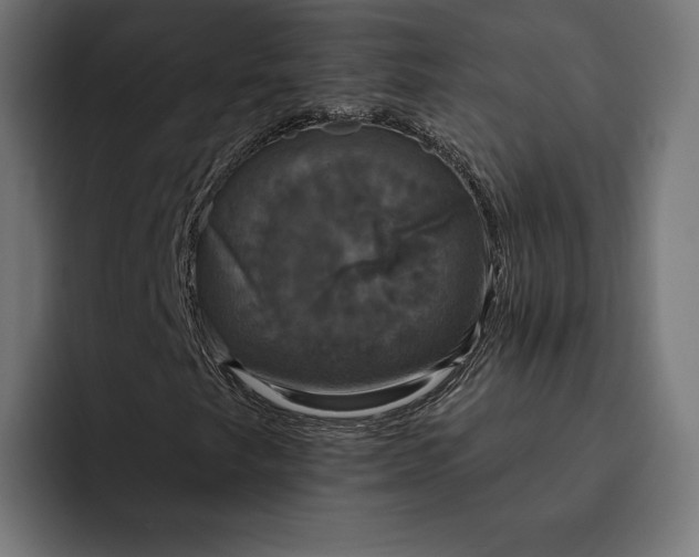 X0000093131249200710101052