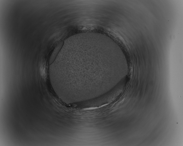 X0000093131250200710101052