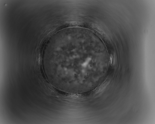 X0000093131251200710101052