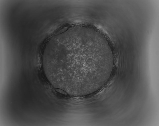 X0000093131253200710101052