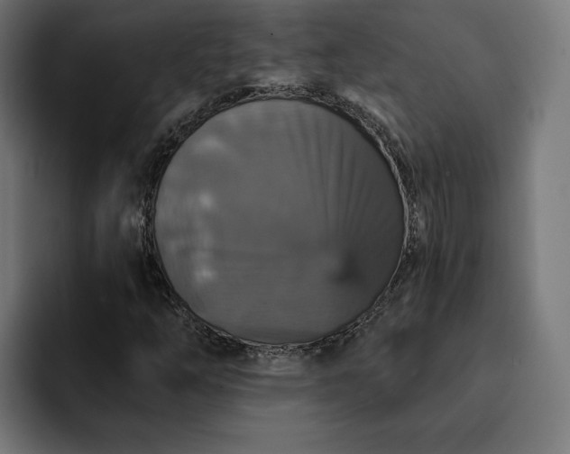 X0000093131254200710101052