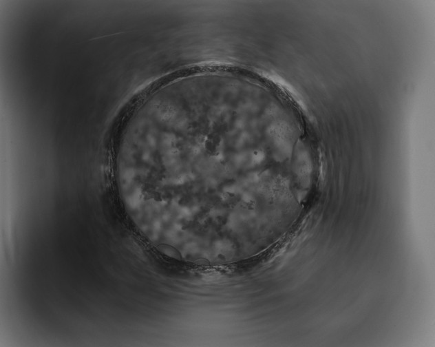 X0000093131255200710101052