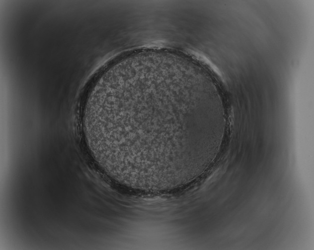 X0000093131256200710101052