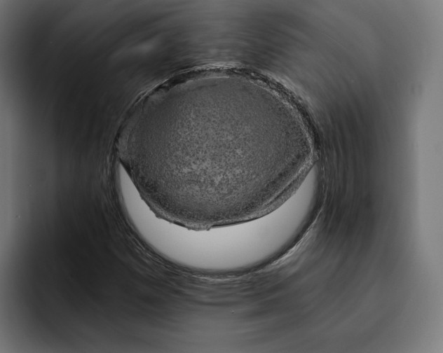 X0000093131257200710101052