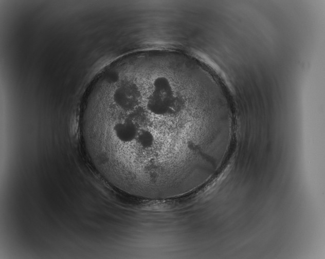 X0000093131259200710101052