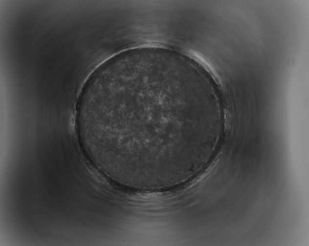 X0000093131260200710101052