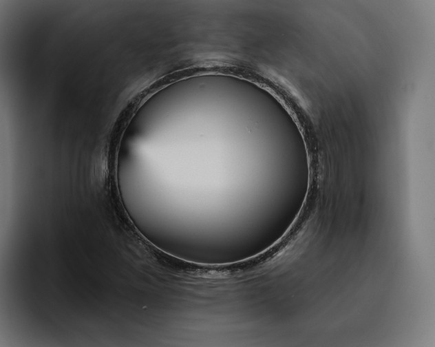 X0000093131261200710101052