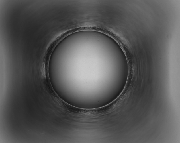 X0000093131262200710101052