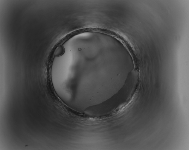 X0000093131263200710101052