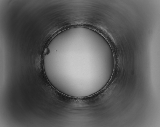 X0000093131265200710101052