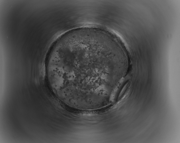 X0000093131267200710101052