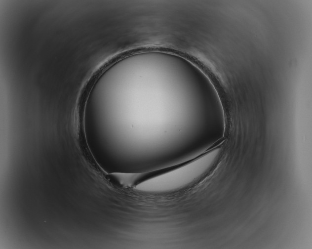 X0000093131270200710101052