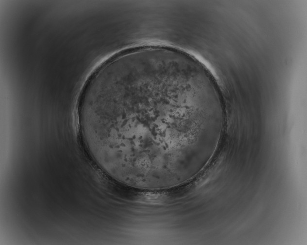 X0000093131271200710101052