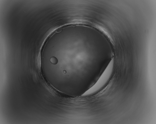 X0000093131275200710101052