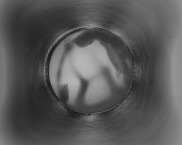 X0000093131278200710101052