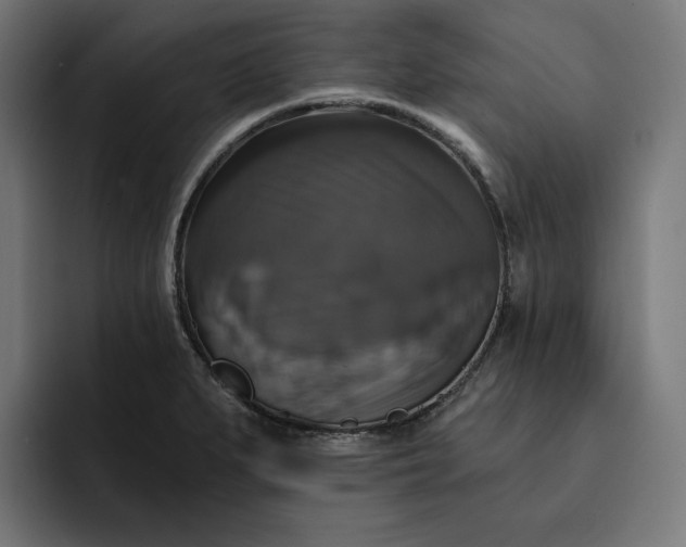 X0000093131279200710101052