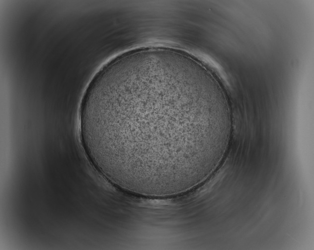 X0000093131280200710101052