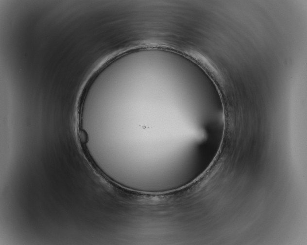 X0000093131286200710101052