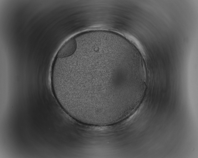 X0000093131288200710101052