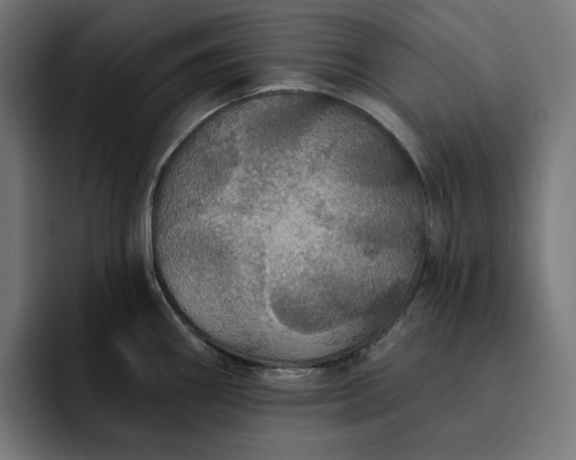 X0000093131290200710101052