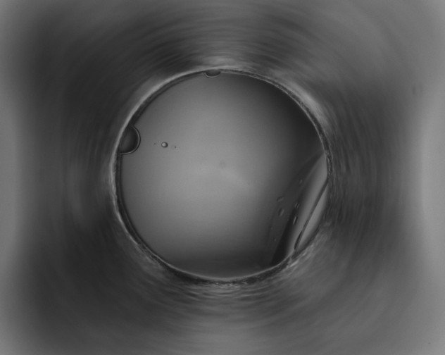 X0000093131291200710101052