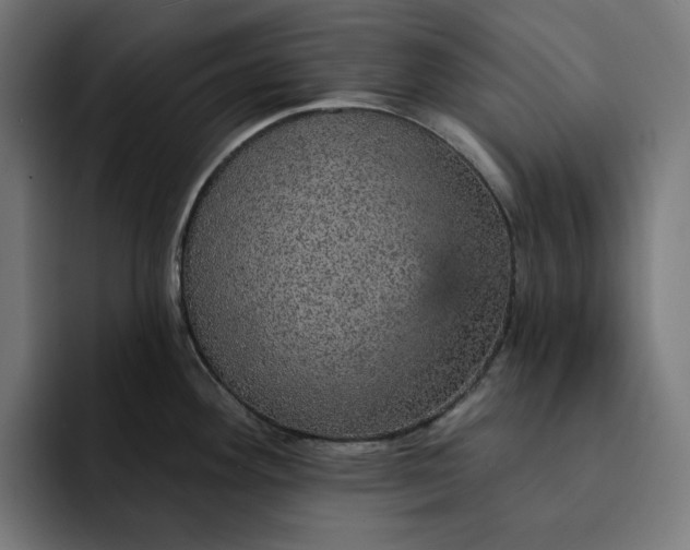 X0000093131292200710101052