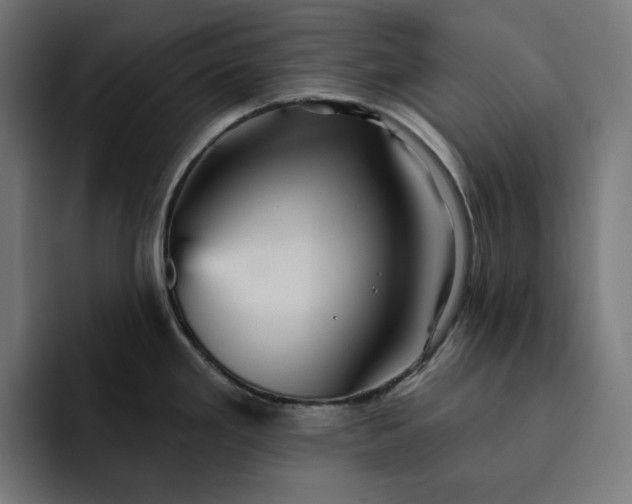 X0000093131293200710101052