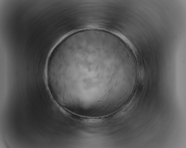 X0000093131294200710101052