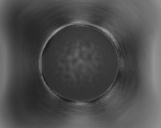 X0000093131295200710101052