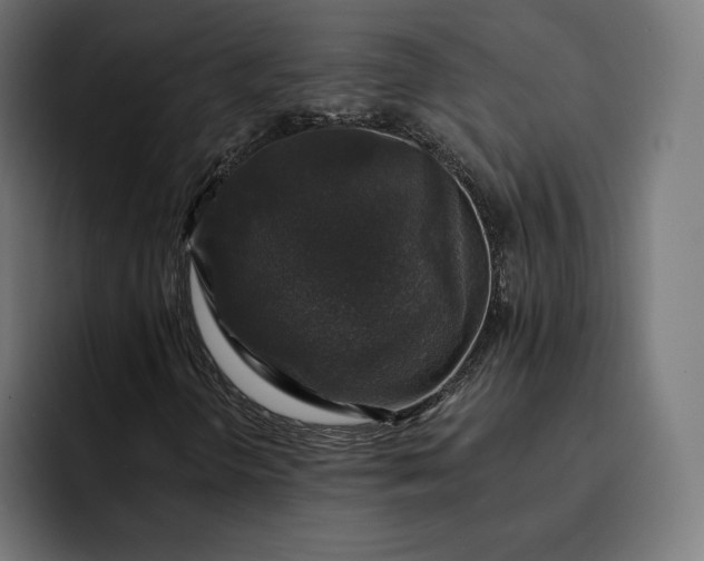 X0000093131298200710101051