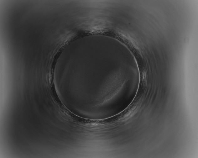 X0000093131300200710101051