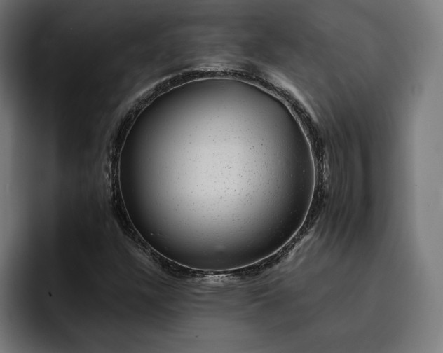 X0000093131304200710101051